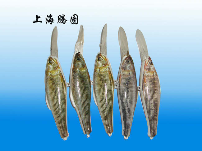 魚(yú)熱轉(zhuǎn)印